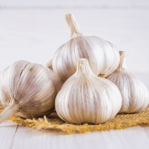 Garlic (Organic)