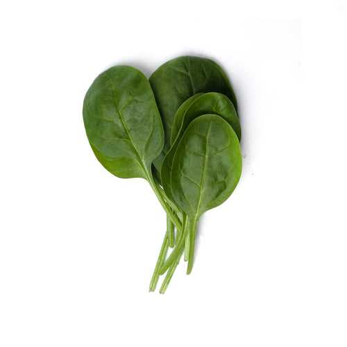 Baby Spinach (Hydroponic)