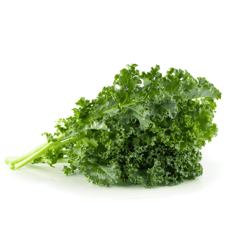 American Curly Kale (Hydroponic)