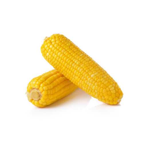 Sweet Corn (Organic)
