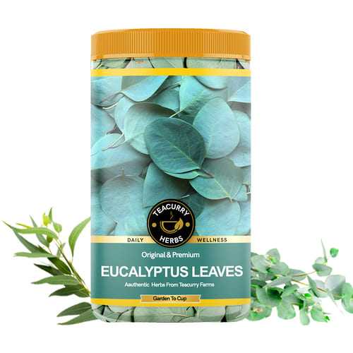 Eucalyptus Leaves - Help With Coughs, Colds, Fevers & Wound Healing