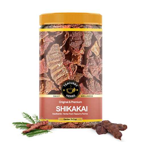 Shikakai Pods (Acacia Concinna Fruit) - Helps With Hair Loss, Dandruff & Constipation
