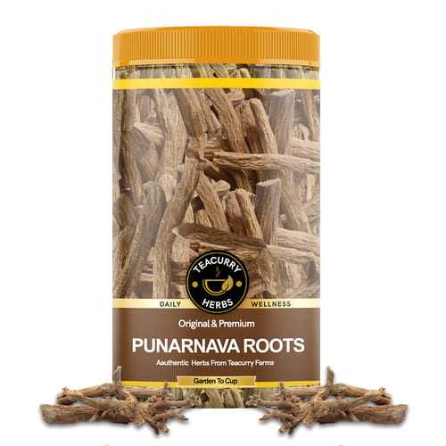 Punarnava Roots (Boerhavia Diffusa/ Sathi Jadi Booti) - Helps to Improve Digestion, Maintain Proper hemoglobin