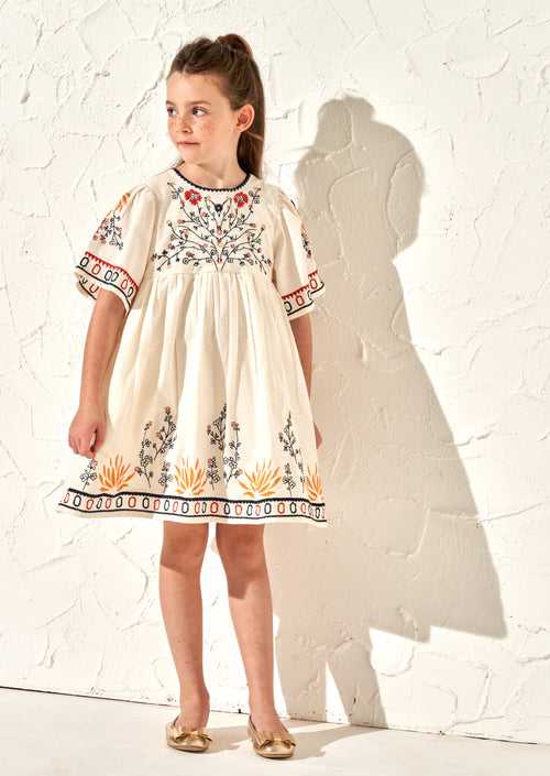 Reyna Embroidered Swing Dress