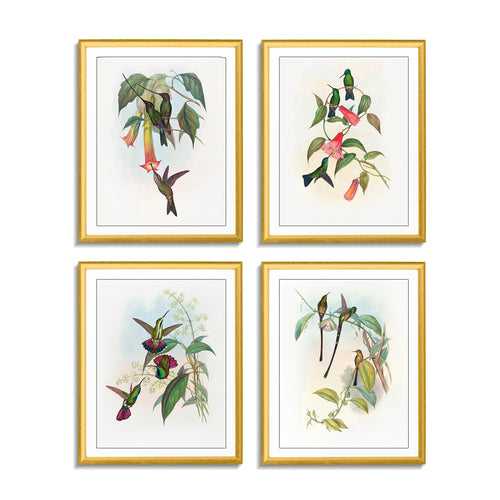 Birds (Set of 4)