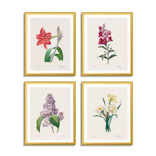 Botanicals (Set of 4)