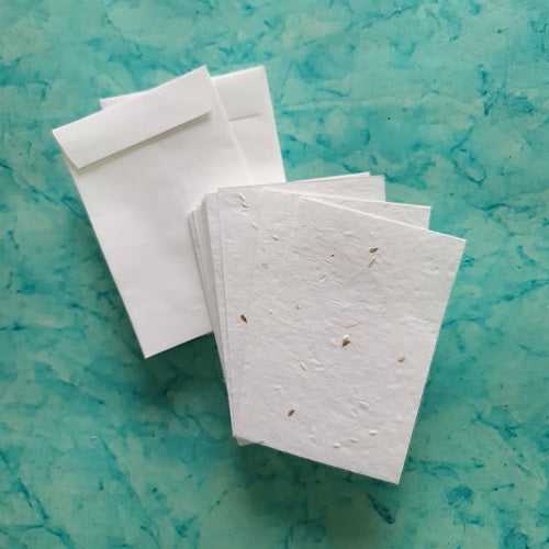 Eco-friendly Plantable Carrot Seed Paper cards with Envelopes set of 200 pcs