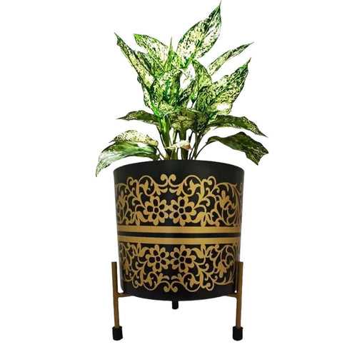 Stella Gold-Black Floral Planter