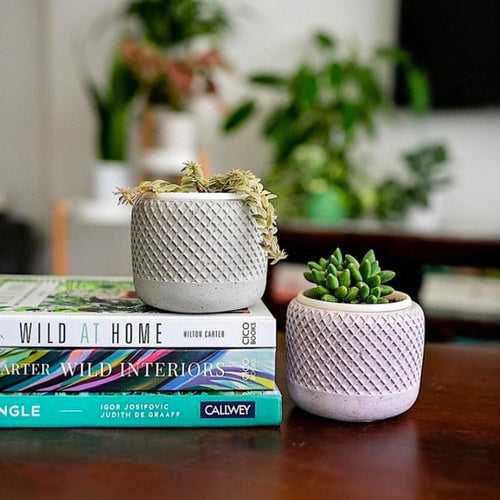 3-Inch Diamond Concrete Pot (Small) - Set of 2/4 | Available Color White, Beige, Red, Blue & Green |