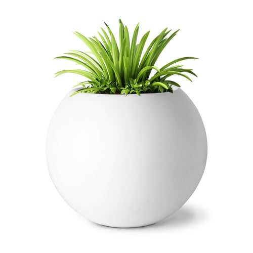 Globe FRP Tabletop Planter