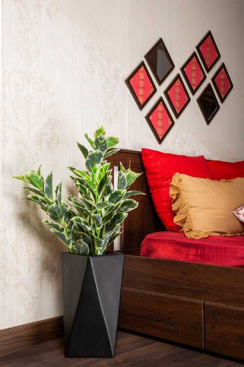 Sculpted Triangle FRP Floor Planter | Available Color White, Black, Green & Grey |