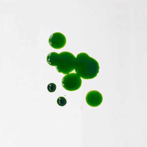 Water Soluble Liquid Colors - Aqua Green
