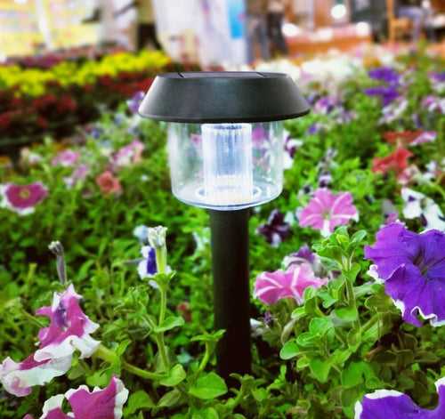 Hardoll Solar Lights For Home Garden Outdoor Waterproof Path Lamp (Cool White)