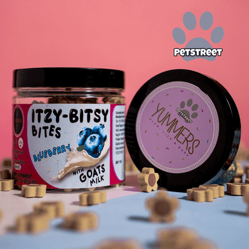 Yummers Itzy-Bitsy Dog Treat Blueberry With Goat Milk