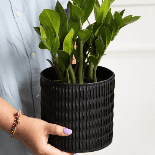 Roma Corru Textured Planter (Black)