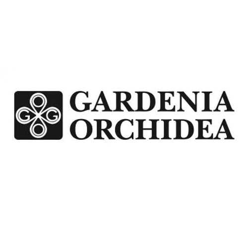 Gardenia Orchedia