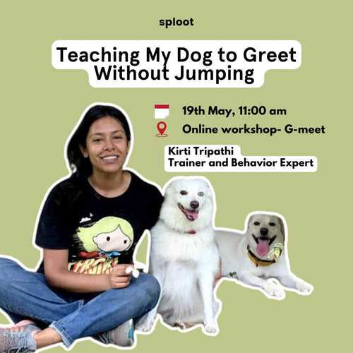 Teaching My Dog to Greet Without Jumping (Online Workshop with Kirti Tripathi)