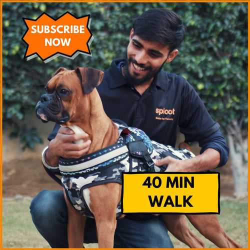 Dog Walking | Subscription - Premium (40 mins) | Available in Delhi NCR