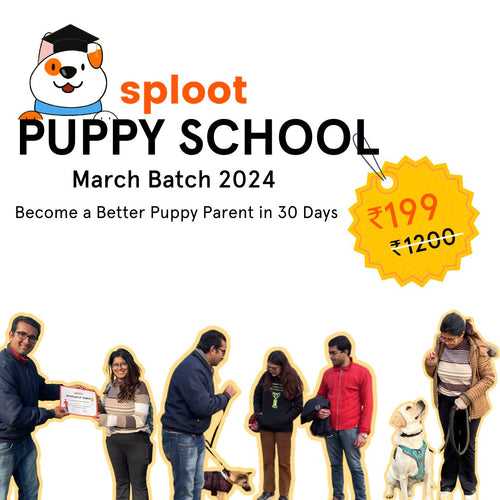 Puppy School | March 2024