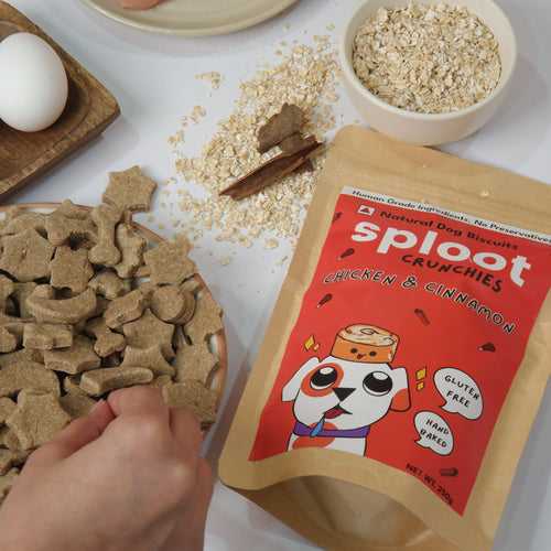 sploot Crunchies Chicken & Cinnamon | 100% Human Grade Dog Biscuits