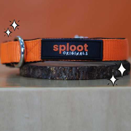 Sploot Originals - Leash & Collar  - Orange and Black