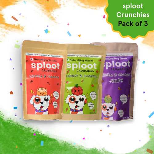 Sploot Treats -  Pack of 3