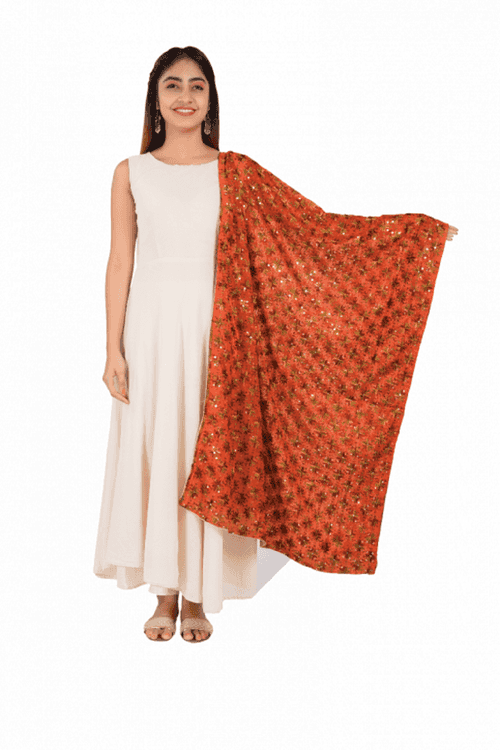 Brown Phulkari Embroidered Chiffon Dupatta