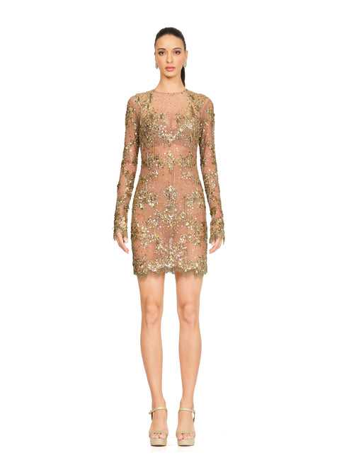 Gold Sheer Dress With Embroidery