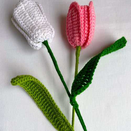 Tulip flower set