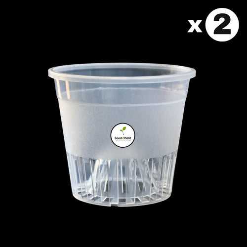 Clear Orchid Pot With Dome - 5 Inches