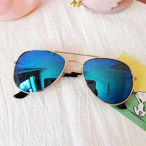 Blue Premium  Aviator Sunglass