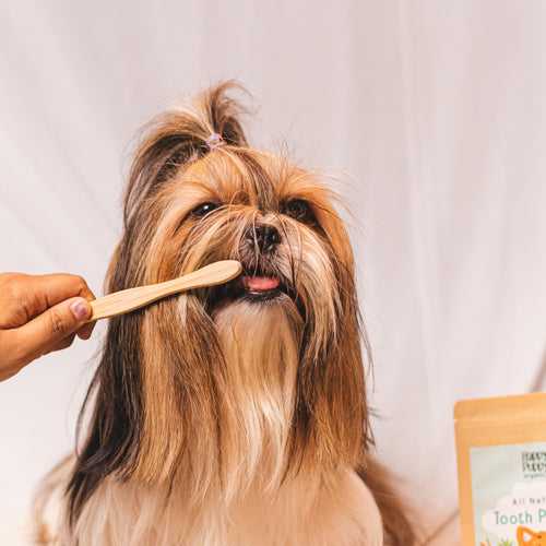Organic Pet Bamboo Tooth Brush.