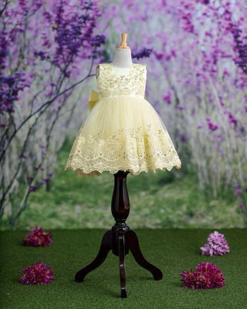 Sarah Crystal lemon Dress