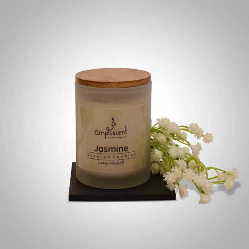 Ampliscent Exotic Candles Collection- White Frosted Glass