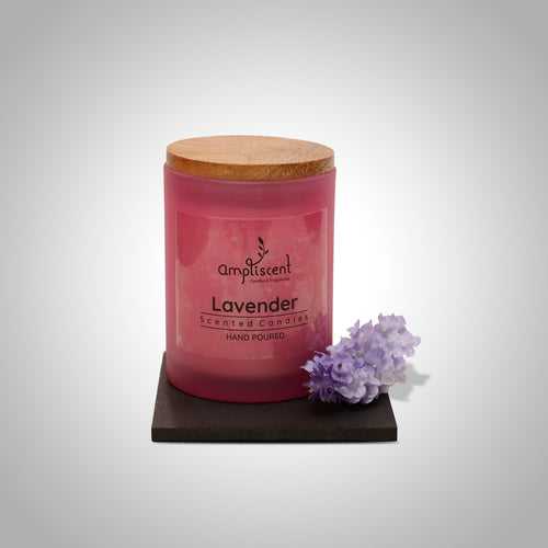 Ampliscent Exotic Candles Collection- Lavender (Pink Frosted)