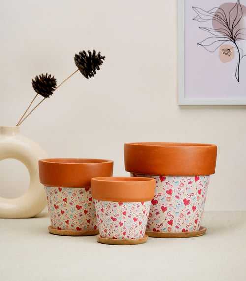 'Basica' Lime Terracotta Plant Pots Combo with Wooden Bottom Tray