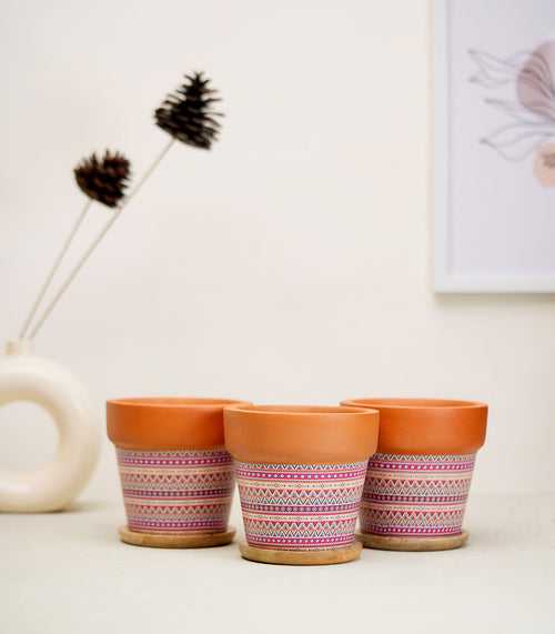 'Basica' Pink Terracotta Plant Pots Combo with Wooden Bottom Tray
