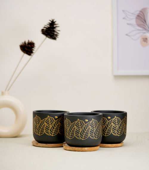 'Zen' Black Terracotta Plant Pots Combo with Wooden Bottom Tray