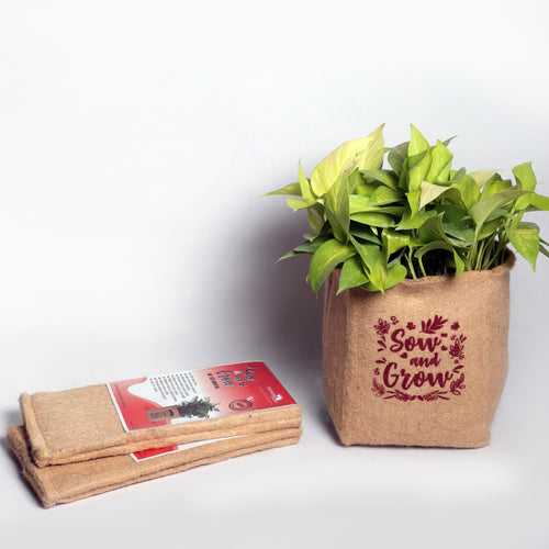 Eco-Friendly Jute Grow Bag
