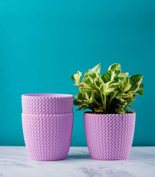 Textured Pink Purl Fiber Planters Pack