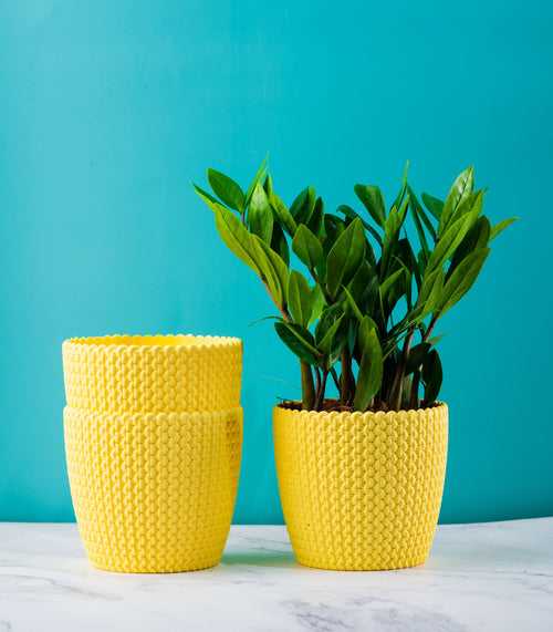 Textured Yellow Purl Fiber Planters Pack