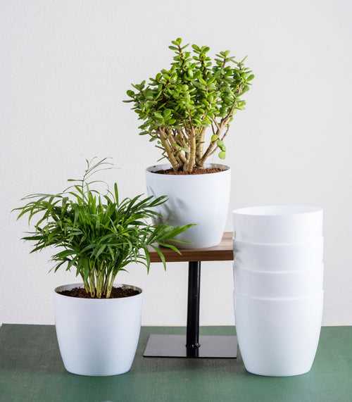 White Glossy Bare Fiber Planter Set (Size: 5 Inch)