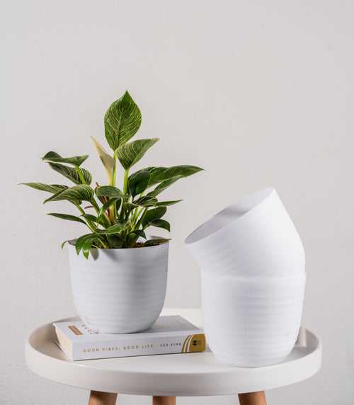 White Wave Fiber Planters with Matte Finish