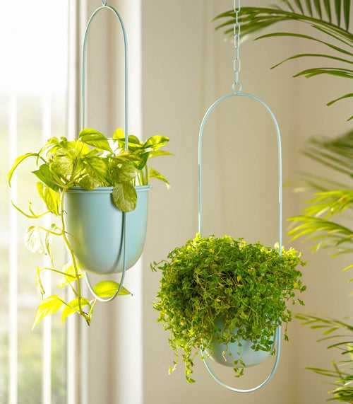 Set of 2 Millennial Metal Hanging Planters with Oval Design