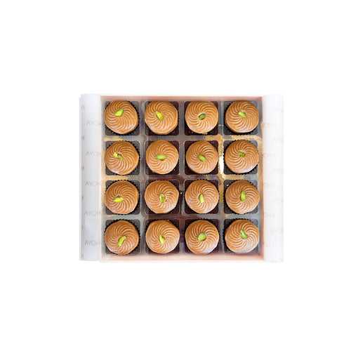 BOX OF 16 - WALNUT PEDA