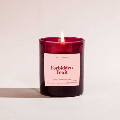 Forbidden Fruit Candle - Tonka Bean + Cinnamon + Tobacco Oudh Scented