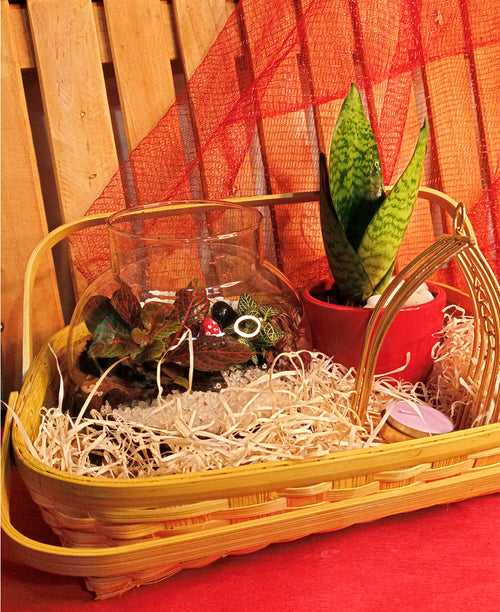 Green basket - Hamper with a Terrarium, Air Purifier, Elegant Diya Holder all in an Assamese basket