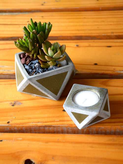 Deepawali Combo - Succulents in Concrete Pot + Candle