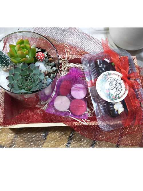 Special Christmas Terrarium Hamper