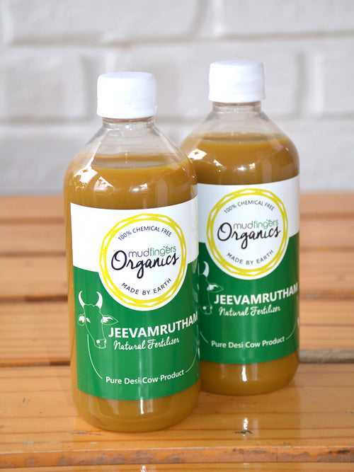 Jeevamrutham (Set of 2 Bottles)
